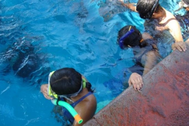 Iniciándose en el buceo